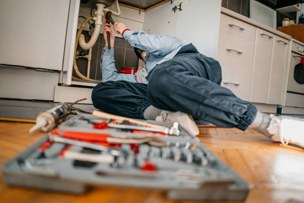 Best Plumbing Services Near Me  in Fruit Heights, UT